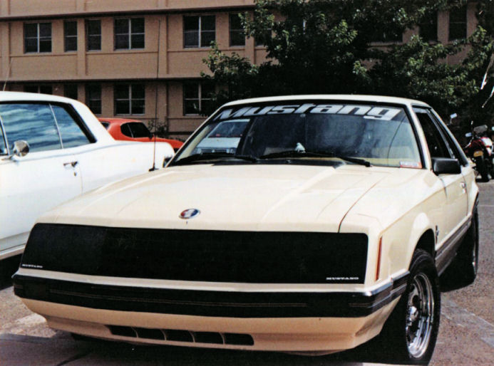[Image: Mustang2.jpg]